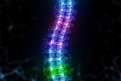 Neurotransmitter Testing for Effective Spinal Alignment